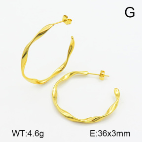 Stainless Steel Earrings  7E2000117bbml-259