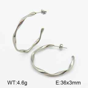 Stainless Steel Earrings  7E2000118ablb-259