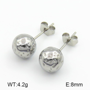 Stainless Steel Earrings  7E2000127avja-259