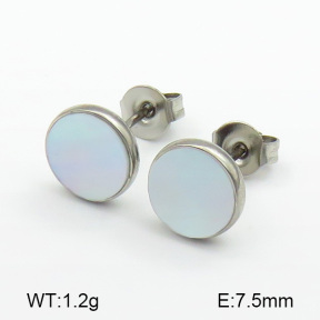 Stainless Steel Earrings  7E3000047ablb-259