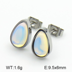 Stainless Steel Earrings  7E4000077ablb-259