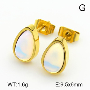 Stainless Steel Earrings  7E4000078vbmb-259