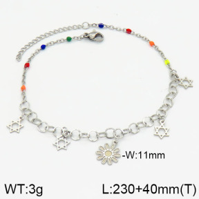 Stainless Steel Anklets  2A9000236vbmb-610