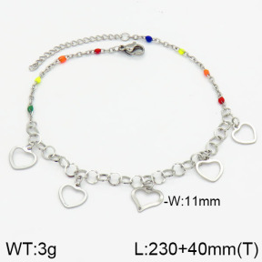 Stainless Steel Anklets  2A9000237vbmb-610