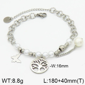 Stainless Steel Bracelet  2B3000391bhva-610