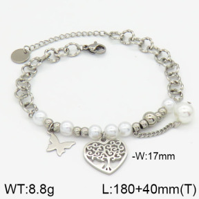 Stainless Steel Bracelet  2B3000392bhva-610