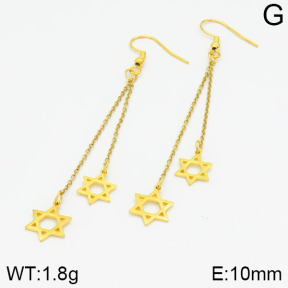 Stainless Steel Earrings  2E2000440aaji-731