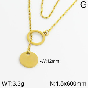 Stainless Steel Necklace  2N2000590aaji-731