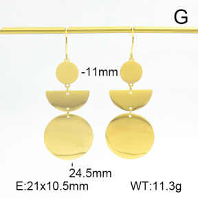 Stainless Steel Earrings  7E2000129vbnb-712