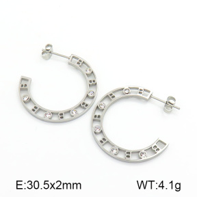 Stainless Steel Earrings  7E4000083abol-669