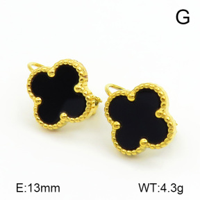 Stainless Steel Earrings  7E4000085vbnb-669