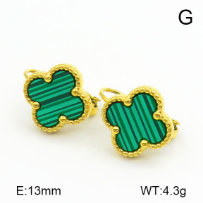 Stainless Steel Earrings  7E4000086vbnb-669