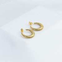Handmade Polished  Ring  PVD Vacuum plating gold  WT:6.8g  E:22mm  316 Stainless Steel Earrings  GEE000159bhia-066