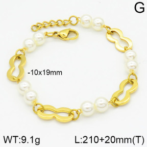 Stainless Steel Bracelet  2B3000399vbpb-685