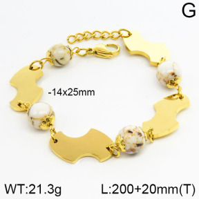 Stainless Steel Bracelet  2B4000621bhva-685