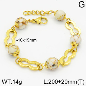 Stainless Steel Bracelet  2B4000623bhva-685