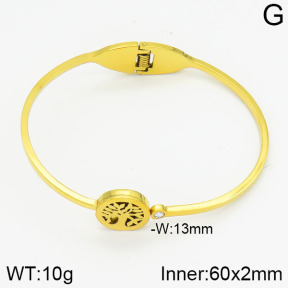 Stainless Steel Bangle  2BA400246abol-685