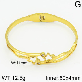 Stainless Steel Bangle  2BA400247abol-685