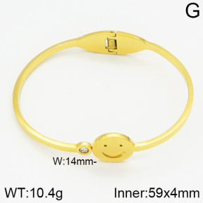 Stainless Steel Bangle  2BA400249abol-685