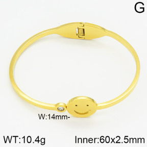 Stainless Steel Bangle  2BA400250abol-685