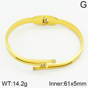 Stainless Steel Bangle  2BA400253abol-685