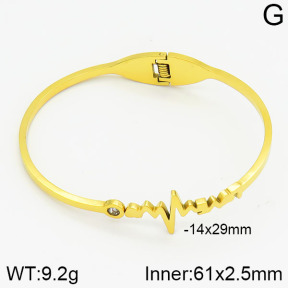 Stainless Steel Bangle  2BA400254abol-685