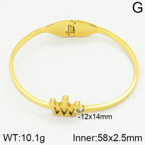 Stainless Steel Bangle  2BA400255abol-685