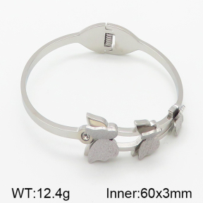 Stainless Steel Bangle  5BA400418vhha-367