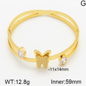 Stainless Steel Bangle  5BA400429ahjb-367