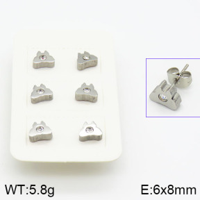Stainless Steel Earrings  2E4000682vail-420