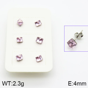 Stainless Steel Earrings  2E4000699aakl-420