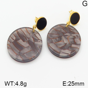 Stainless Steel Earrings  5E3000276vhha-628