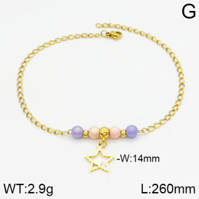 Stainless Steel Anklets  2A9000241vbll-350