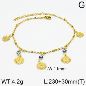 Stainless Steel Anklets  2A9000250vbmb-350