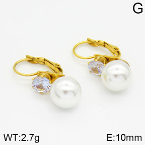 Stainless Steel Earrings  2E3000378avja-420