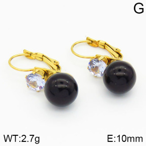 Stainless Steel Earrings  2E3000380avja-420