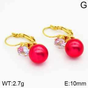 Stainless Steel Earrings  2E3000383avja-420