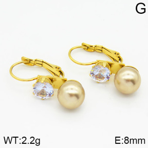 Stainless Steel Earrings  2E3000384avja-420