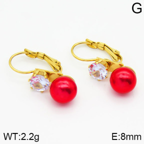 Stainless Steel Earrings  2E3000385avja-420