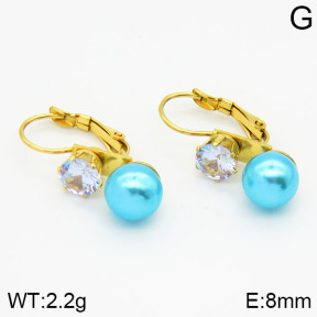 Stainless Steel Earrings  2E3000386avja-420