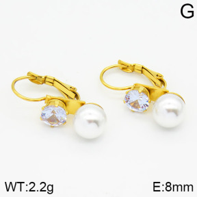 Stainless Steel Earrings  2E3000387avja-420