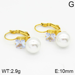 Stainless Steel Earrings  2E3000391avja-420