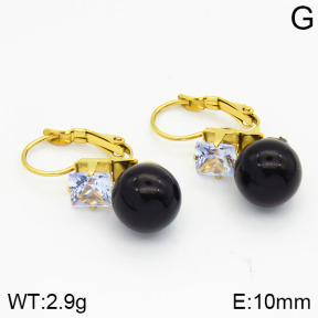 Stainless Steel Earrings  2E3000393avja-420