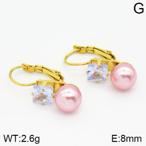 Stainless Steel Earrings  2E3000396avja-420