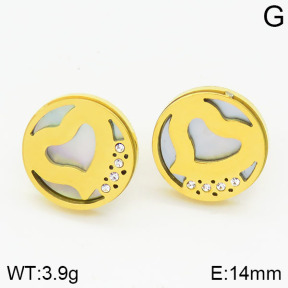 Stainless Steel Earrings  2E3000400vbmb-420