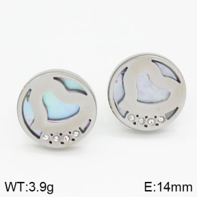 Stainless Steel Earrings  2E3000401vbll-420