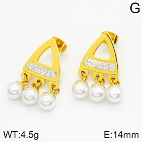 Stainless Steel Earrings  2E3000402vbmb-420