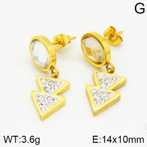 Stainless Steel Earrings  2E4000706vbmb-420