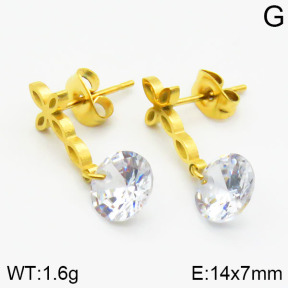 Stainless Steel Earrings  2E4000716vaia-420