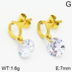 Stainless Steel Earrings  2E4000729vaia-420